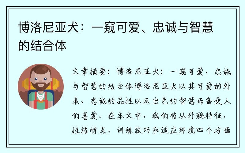 博洛尼亚犬：一窥可爱、忠诚与智慧的结合体
