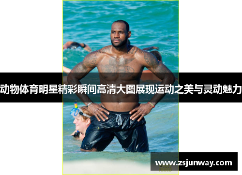 动物体育明星精彩瞬间高清大图展现运动之美与灵动魅力